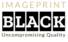 ImagePrint Black for Epson and Canon 24" Printers